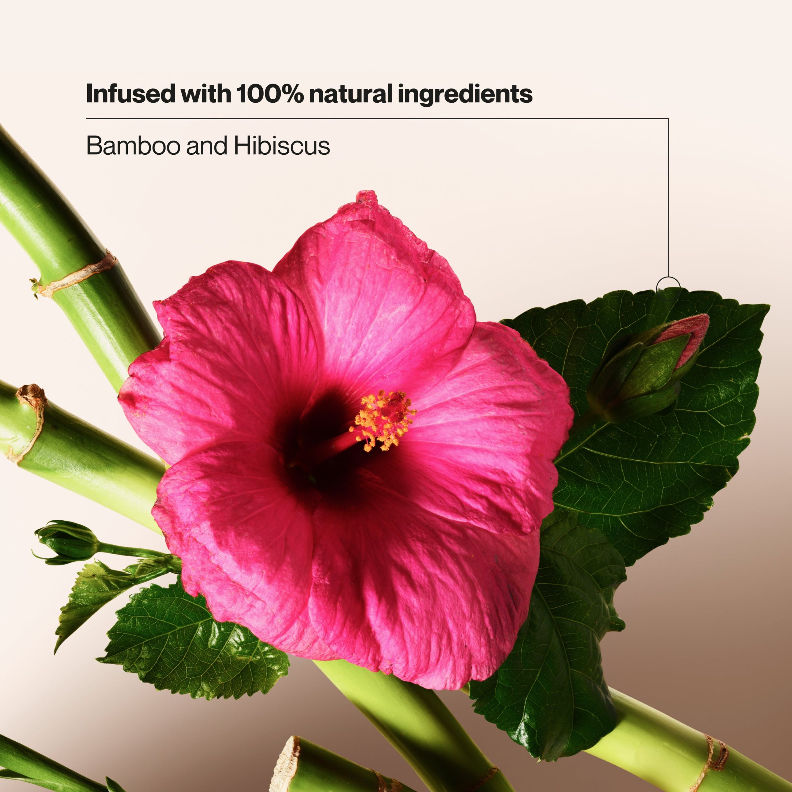 Bamboo & Hibiscus Volumizing Dry Shampoo - Image 5